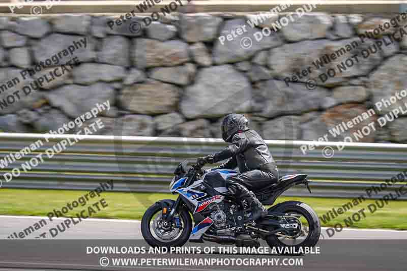 cadwell no limits trackday;cadwell park;cadwell park photographs;cadwell trackday photographs;enduro digital images;event digital images;eventdigitalimages;navarra;no limits trackdays;peter wileman photography;racing digital images;trackday digital images;trackday photos